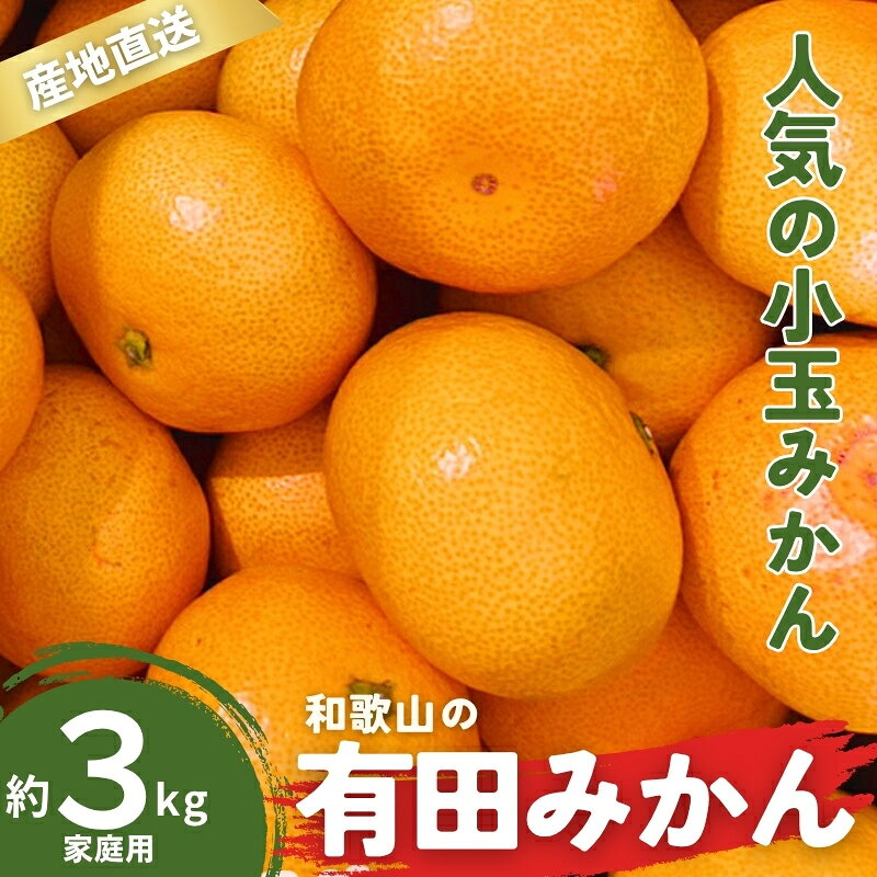 家庭用 有田みかん 和歌山 訳あり わけあり 小玉(2S,3Sサイズ混合) 3kg【9月下旬～1月下旬頃に順次発送】/ みかん フルーツ 果物 くだもの 有田みかん 蜜柑 柑橘