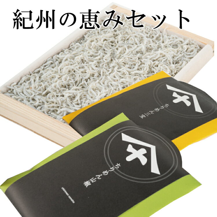 ڤդ뤵Ǽǡ ηäߥå
