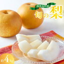 【ふるさと納税】 【先行予約受付】和歌山県産の美味しい梨 約4kg (10〜13玉入り)※2025年8月中旬から9月上旬までに順次発送予定(お届け日指定不可)期...