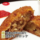 【ふるさと納税】熊野牛コロッケ 10