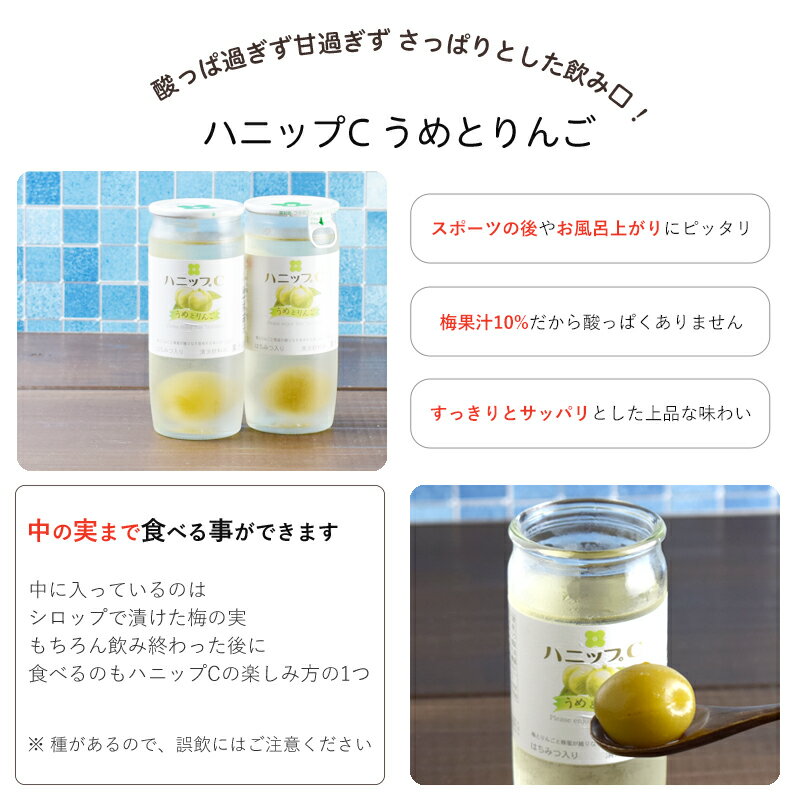 【ふるさと納税】 果実入り清涼飲料水 ハニップC 2種類セット（30本）