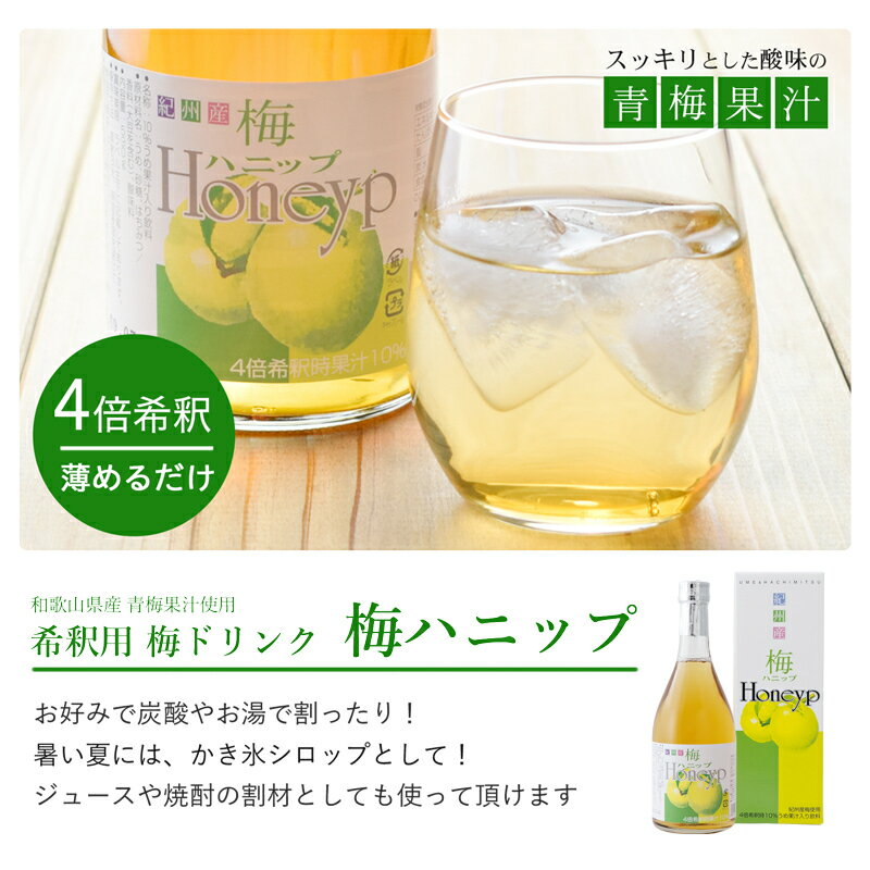 【ふるさと納税】 希釈用梅ドリンク 梅ハニップ 3本