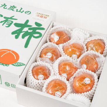 【ふるさと納税】【まごころ栽培】九度山の冷蔵富有柿Mサイズ9玉入り<2022年2月上旬より順次発送>(お届け日指定不可)