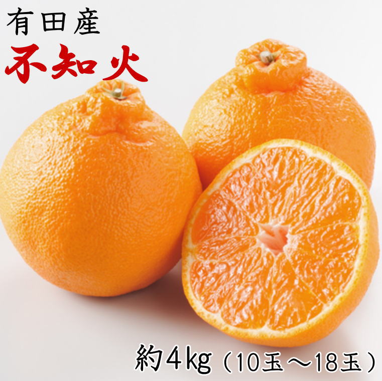 【濃厚】有田の不知火約4kg（10玉〜18玉おまかせ） ※2025年2月上旬〜2025年3月下旬頃に順次発送予定（日付指定不可）