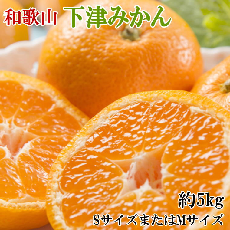 【ふるさと納税】【産直・秀品】和歌山下津みかん約5kg(SサイズまたはMサイズのいずれかをお届け) ※2026年11月中旬～2027年1月中旬頃に順次発送(お届け日指定不可)