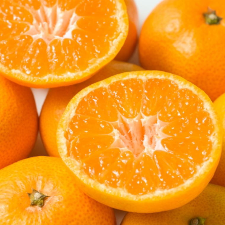 【ふるさと納税】 【食べごたえ十分】有田みかん大玉 9kg（3Lサイズ・秀品）※2026年11月中旬〜2027年1月中旬頃順次発送予定（お届け日指定不可）