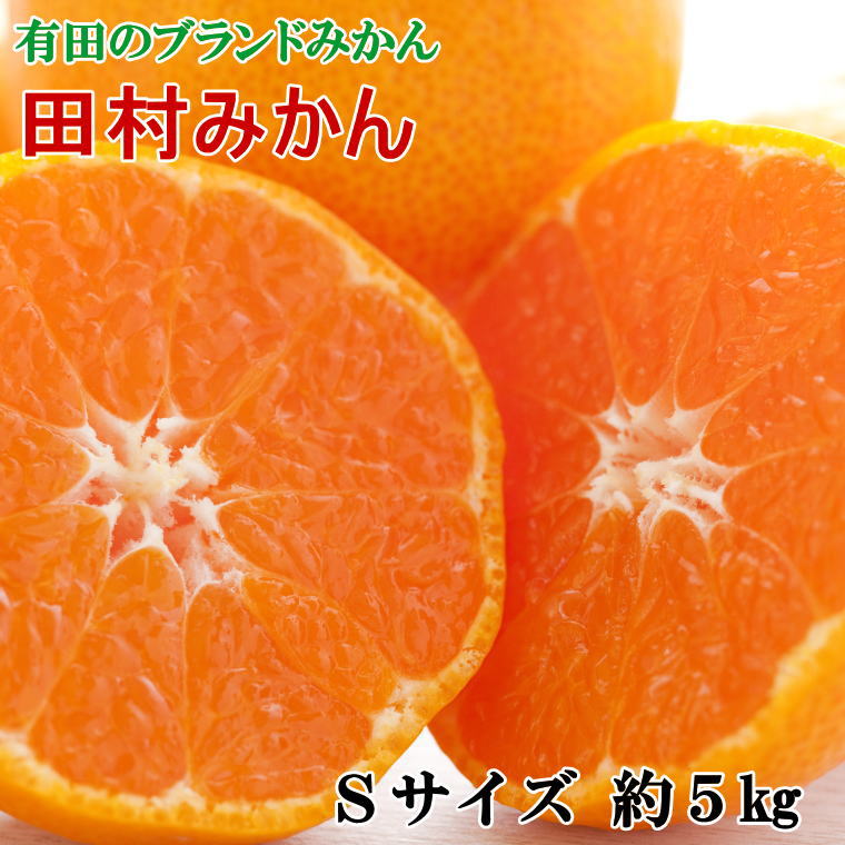 【ふるさと納税】 【ブランドみかん】田村みかん約5kg(Sサイズ・秀品)※22025年11月下旬~2025年12月下旬頃順次発送予定(お届け日指定不可)