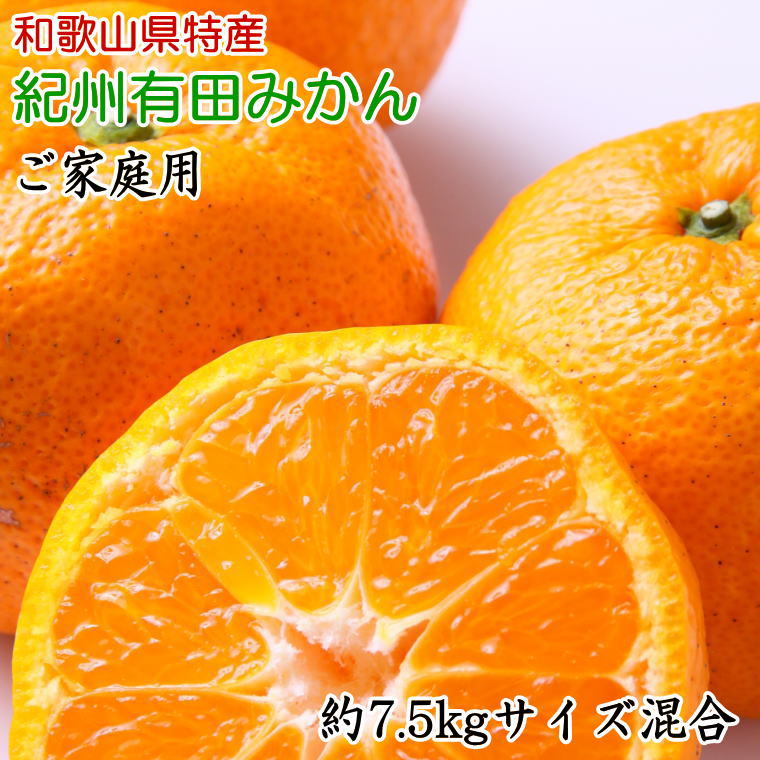 [ご家庭用]有田みかん約7.5kg(サイズ混合)【2024年11月中旬〜2025年1月中旬頃に順次発送予定】(お届け日指定不可)