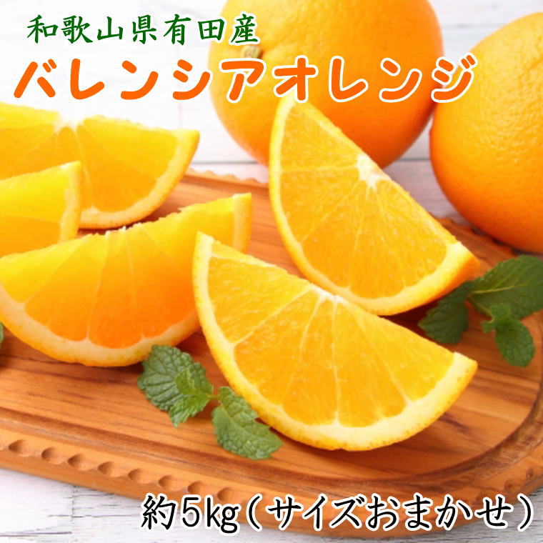 【ふるさと納税】 和歌山県有田産バレンシアオレンジ約5kg（サイズおまかせ）（お届け日指定不可）【tec926A】