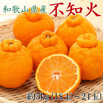 和歌山県産 不知火 約5kg (18玉〜24玉おまかせ) ※2026年2月下旬〜2026年4月中旬頃に順次発送予定(日付指定不可)
