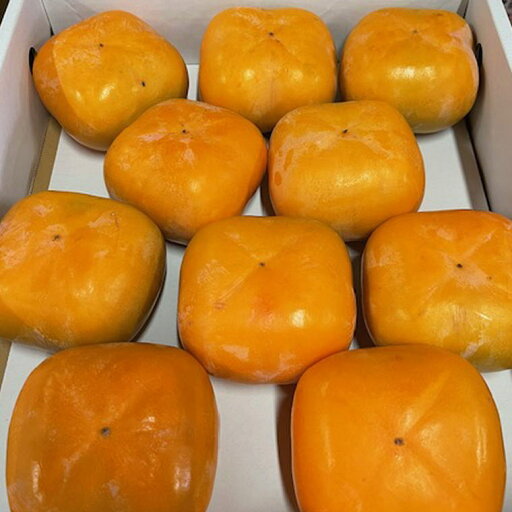 【ふるさと納税】大玉サイズ 平たねなし柿「クイーンパーシモン」約4kg (10玉~12玉おまかせ)※2025年10月中旬~2025年11月上旬頃に順次発送(お届け日指定不可) 【ふるさと納税】大玉サイズ 平たねなし柿「クイーンパーシモン」約4kg (10玉~12玉おまかせ)※2025年10月中旬~2025年11月上旬頃に順次発送(お届け日指定不可)
