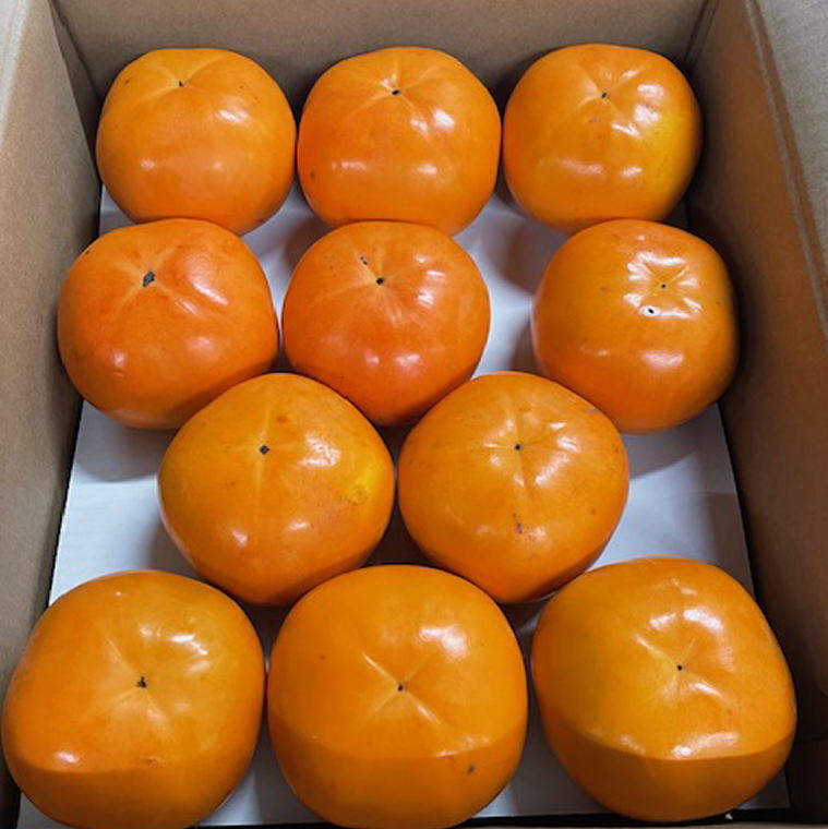 【ふるさと納税】富有柿の新品種「紀州てまり」約7.5kg(22玉~32玉おまかせ)※2025年11月上旬~2025年11月中旬頃に順次発送(お届け日指定不可)