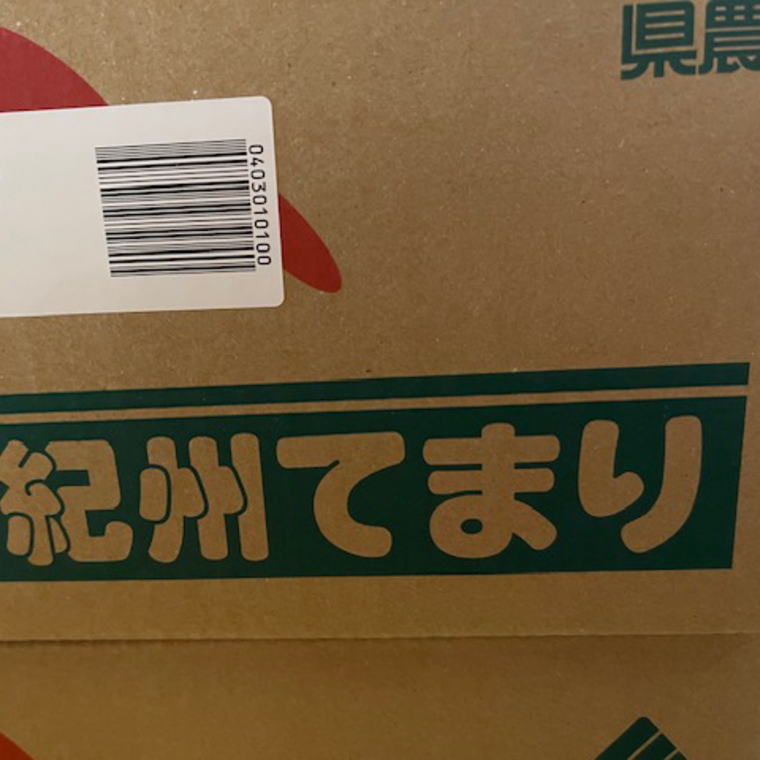 パパインサラダ 青パパイヤ乾燥(千切り) 徳之島 25g ×5パック