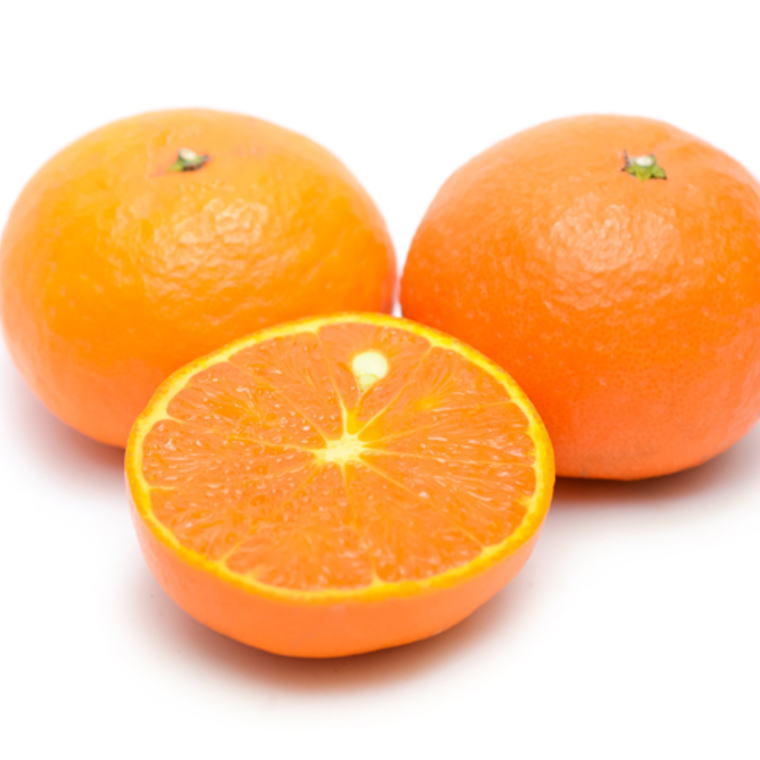 和歌山県古座川町の画像2