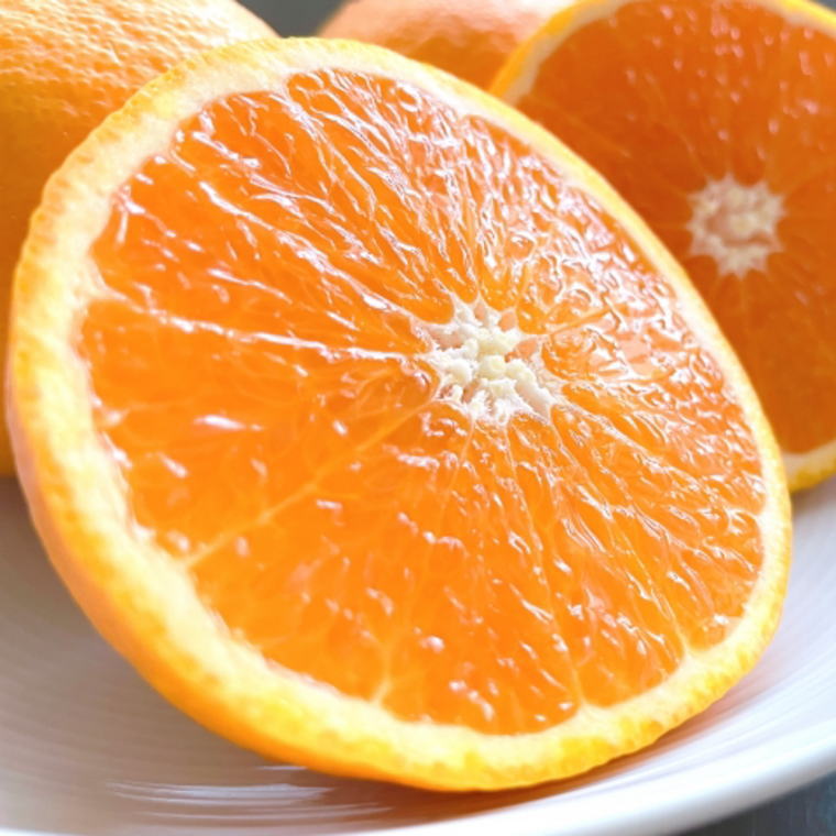 �ڤդ뤵��Ǽ�ǡ� �²λ����������������5kg�ʥ���������ˢ�2026ǯ3����ܡ�2026ǯ4���ܺ��˽缡ȯ����tecj1035��