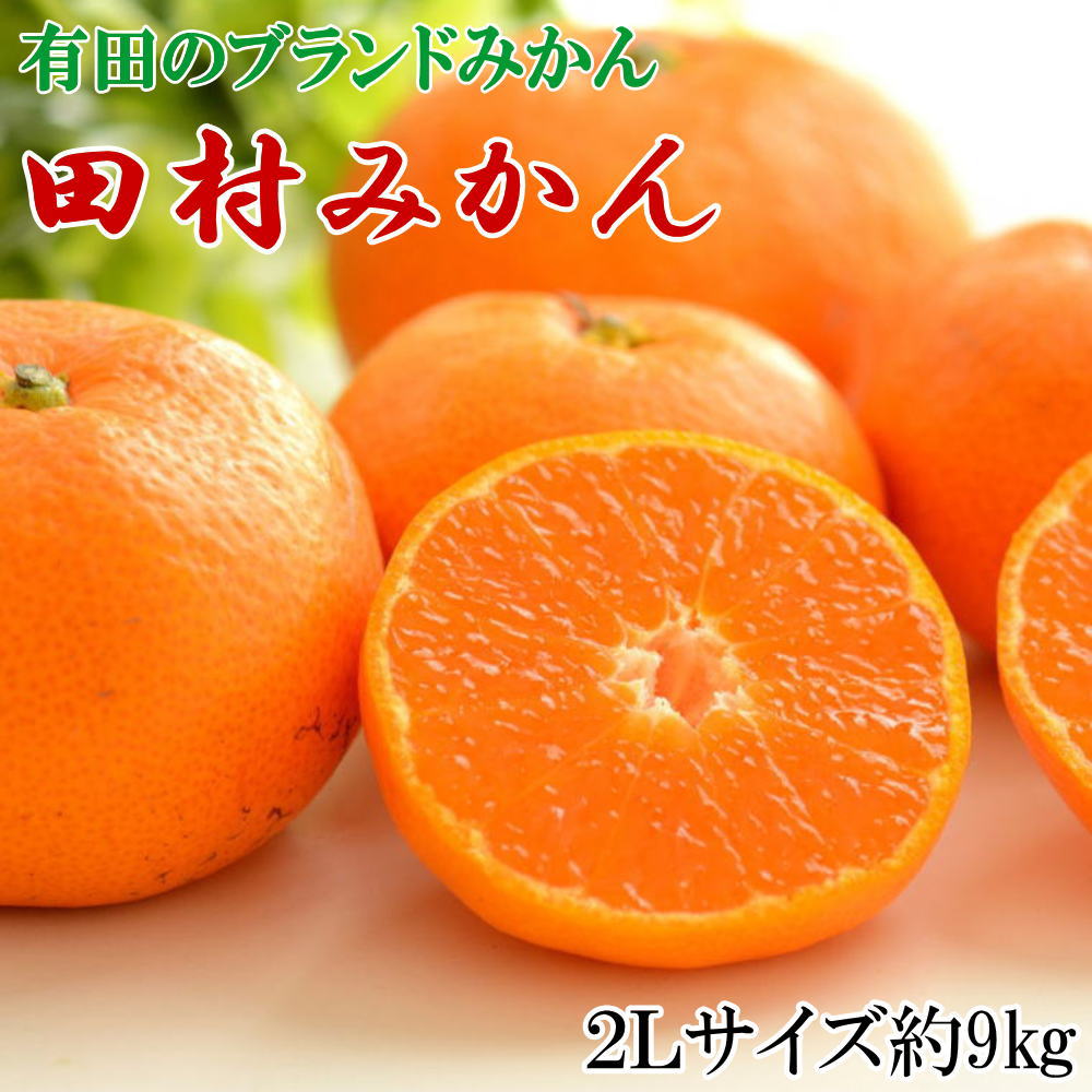 【ふるさと納税】【ブランドみかん】田村みかん大玉約9kg(2Lサイズ) ※2026年11月下旬～2026年12月下旬頃に順次発送 【tecj1037】