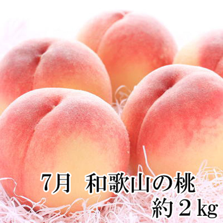 【ふるさと納税】 【定期便全3回】産直・和歌山フルーツ定期便（桃・ピオーネ・有田みかん） f304247-kozagawa-10001563 和歌山県古座川町 サンプル画像2