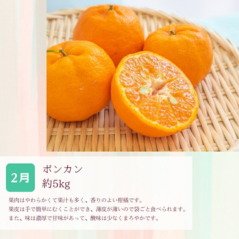 【ふるさと納税】 定期便全3回 【2月・3月・4月発送】 和歌山の春の柑橘 （ポンカン・はるか・ブラッドオレンジ）秀品