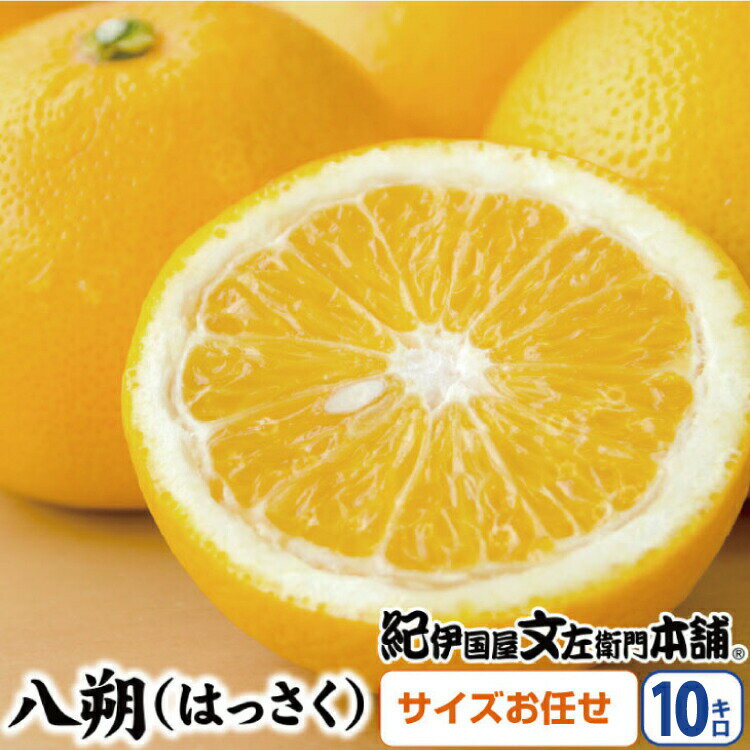 【ふるさと納税】 八朔(はっさく)約10kg サイズおまかせ　紀伊国屋文左衛門本舗【2024年1月下旬～4月上旬頃に発送】(お届け日指定不可)のサムネイル