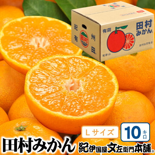 【ふるさと納税】 【予約受付】田村みかん 特選ギフト品 10kg【Lサイズ】赤秀/紀州和歌山有田郡湯浅町田村地区産 ◆2025年11月下旬~2026年1月中旬頃に順次発送(お届け日指定不可) 紀伊国屋文左衛門本舗 【ふるさと納税】 【予約受付】田村みかん 特選ギフト品 10kg【Lサイズ】赤秀/紀州和歌山有田郡湯浅町田村地区産 ◆2025年11月下旬~2026年1月中旬頃に順次発送(お届け日指定不可) 紀伊国屋文左衛門本舗