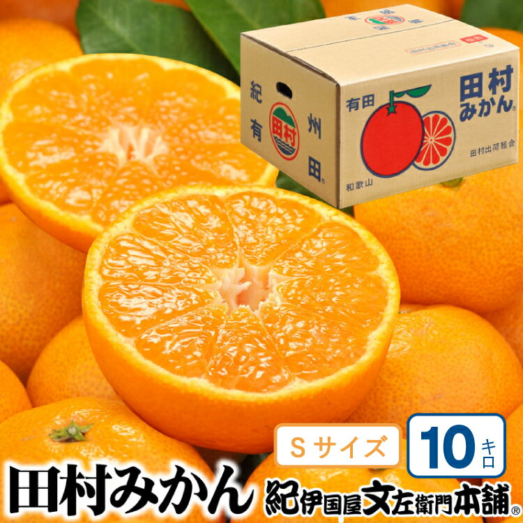 【ふるさと納税】 【予約受付】田村みかん 特選ギフト品 10kg【Sサイズ】赤秀/紀州和歌山有田郡湯浅町田村地区産 ◆2025年11月下旬~2026年1月中旬頃に順次発送(お届け日指定不可) 紀伊国屋文左衛門本舗