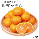 【ふるさと納税】高級ブランド田村みかん　5kg【予約】※2024年11月下旬頃〜2025年1月下旬頃に順次発送予定(お届け日指定不可) その1