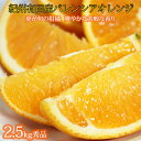 【ふるさと納税】 秀品 希少な国産バレンシアオレンジ 2.5kg ※2025年6月下旬頃〜7月上旬頃順次発送(お届け日指定不可)(4)
