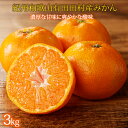 【ふるさと納税】【先行予約】高級ブランド 秀品 紀州有田田村産みかん 3kg ※2025年12月頃〜2026年1月下旬頃に順次発送予定 / みかん ミカン 蜜柑...