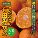 【ふるさと納税】 みかん 有田みかん 大玉 3L以上 7.5kg 10kg 選べる容量 光センサー選別 みかん ミカン 柑橘 果物 くだもの フルーツ 人気 旬 甘い 農家直送 有機質肥料100% ※2025年11月中旬~12月末に順次発送(お届け日指定不可)