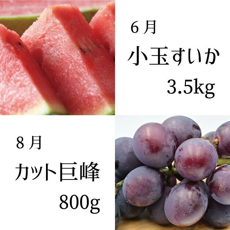 【ふるさと納税】【全6回定期便】偶数月にお届け♪和歌山のフルーツ堪能定期便！不知火・木成り八朔・すいか・巨峰・たねなし柿・有田みかん