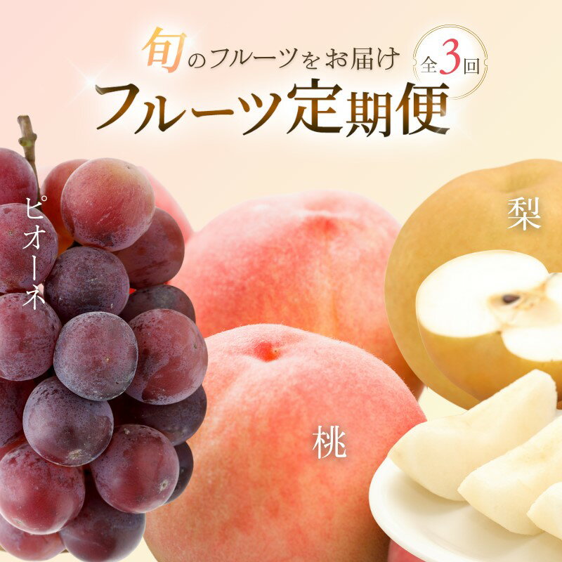 [3か月定期便]和歌山産フルーツ定期便!人気の桃・梨・ピオーネ 旬のフルーツを毎月お届け♪