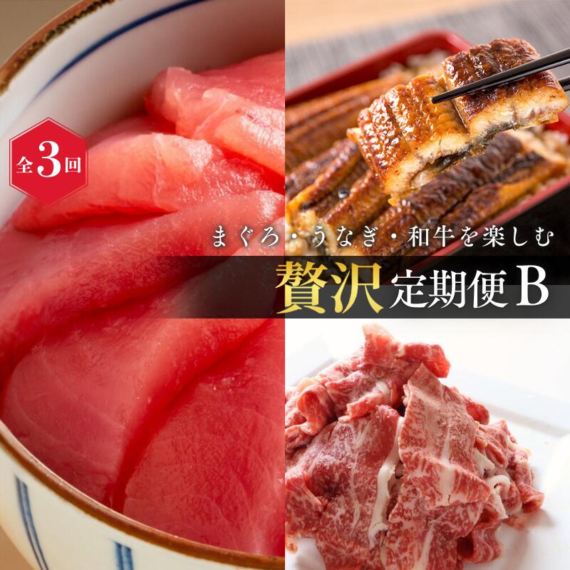 【ふるさと納税】 【全3回】まぐろ・うなぎ・和牛を楽しむ贅沢定期便B / 鮪 マグロ 刺身 鰻 ウナギ 蒲焼 熊野牛 肉 牛肉 和牛 黒毛和牛 赤身 こま切れ