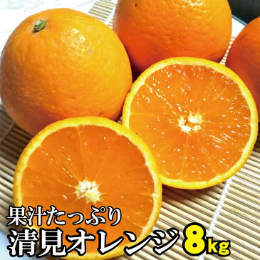 【ふるさと納税】果汁たっぷり！清見オレンジ 約8kg 有機質肥料100%　※2021年3月上旬より順次発送予定（お届け日指定不可）