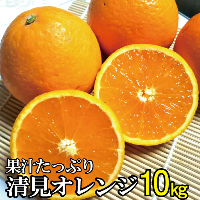 【ふるさと納税】果汁たっぷり！清見オレンジ 約10kg 有機質肥料100%　※2021年3月上旬より順次発送予定（お届け日指定不可）