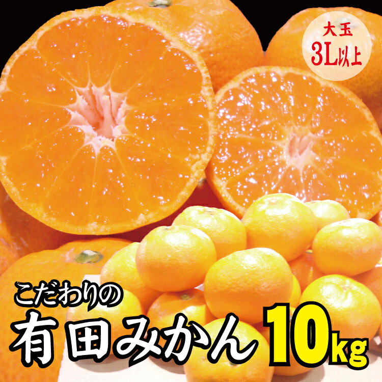 ＼農家直送／＼光センサー選別／有田みかん 大玉3L以上 約10kg 有機質肥料100%【※2024年12月初旬〜1月中旬に順次発送(お届け日指定不可)】 / みかん 蜜柑 大玉 柑橘