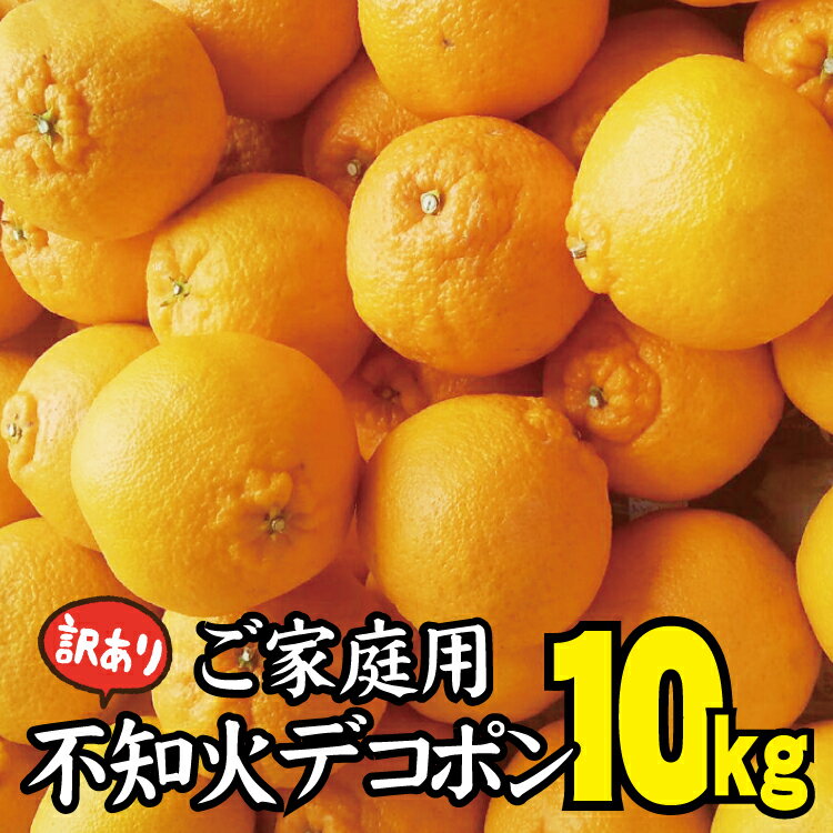 【ふるさと納税】【数量限定】ちょこっと訳あり不知火デコポン 約10kg　 サイズ混合　【ご家庭用】 ※2024年2月中旬より順次発送予定（お届け日指定不可） ワケあり ワケアリ みかん オレンジのサムネイル