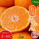 【ふるさと納税】 《レビューキャンペーン実施中!》数量限定 訳あり みかん 有田みかん 5kg 7.5kg 10kg 選べる容量 家庭用 ご家庭用 訳アリ みか...