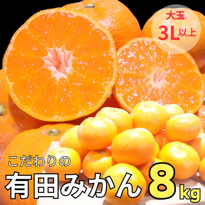 農家直送 有田みかん 大玉 3L以上 約8kg 有機質肥料100%[※2024年12月初旬〜1月中旬に順次発送(お届け日指定不可)] 先行予約 農家直送 ご家庭用 自宅用 訳ありみかん 農家直送 有機質肥料100% ミカン 訳アリ