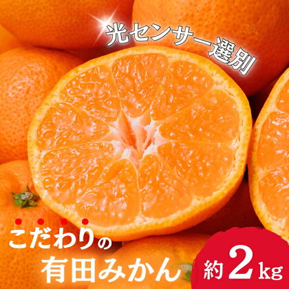 ＼光センサー選別／農家直送 こだわりの有田みかん 約2kg＋60g(傷み補償分) 先行予約分【家庭用】【11月・12月・2025年1月発送から選べます】（日付指定不可） サイズ混合 有機質肥料100% みかん ミカン 蜜柑 柑橘 果物 フルーツ 温州みかん