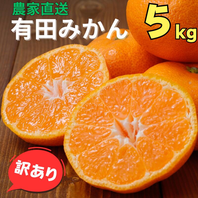 【ふるさと納税】 訳あり 有田みかん 約5kg 農家直送 ※11月中旬から1月中旬までに順次発送予定（お届け日指定不可）】 先行予約 ご家庭用 自宅用 訳ありみかん 農家直送 サイズ混合 有機質肥料100% ミカンのサムネイル