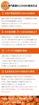 【ふるさと納税】果汁たっぷり！清見オレンジ 約8kg 有機質肥料100%　※2021年3月上旬より順次発送予定（お届け日指定不可）