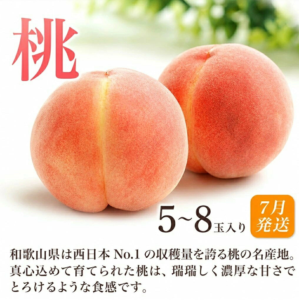 【ふるさと納税】【全3回定期便】和歌山の旬のフルーツ定期便！人気の桃・ピオーネ・梨をお届け♪【tkb306】