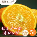 【ふるさと納税】 セミノールオレンジ 約5kg/サイズおまかせ ※2025年4月中旬〜5月下旬頃に順次発送予定(お届け日指定不可) 紀伊国屋文左衛門本舗(4)