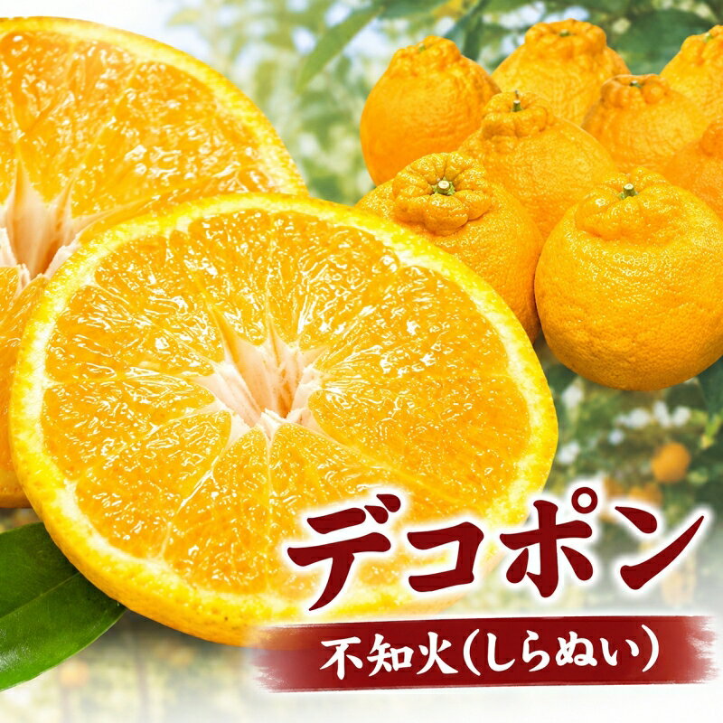 田村産「デコ」不知火[約2.8kg]湯浅町田村産春みかん(果実サイズおまかせ)/紀伊国屋文左衛門本舗 ※2027年2月中旬〜2027年3月下旬頃に順次発送予定(お届け日指定不可)