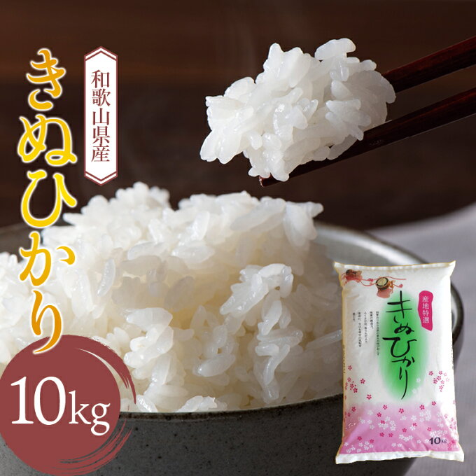【ふるさと納税】和歌山県産 キヌヒカリ 10kg (2022年産) 産地直送 米 こめ ご飯 ごはん