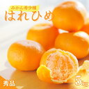 【ふるさと納税】 【来シーズン先行予約】希少種みかん はれひめ 約5kg(25個~30個) 秀品 2025年12月中旬〜2026年2月初旬頃に順次発送予定(お届け日指定不可)/ 和歌山 みかん はれひめ フルーツ 柑橘 蜜柑 果物 くだもの(4)