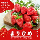 14位! 口コミ数「0件」評価「0」【先行予約】まりひめ いちご 12粒～15粒入り×2パック or 4パック（500g or 1kg） 2025年1月初旬～2025年3月末頃･･･ 