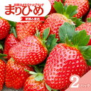 【ふるさと納税】【先行予約】特大まりひめ いちご 朝摘 6個