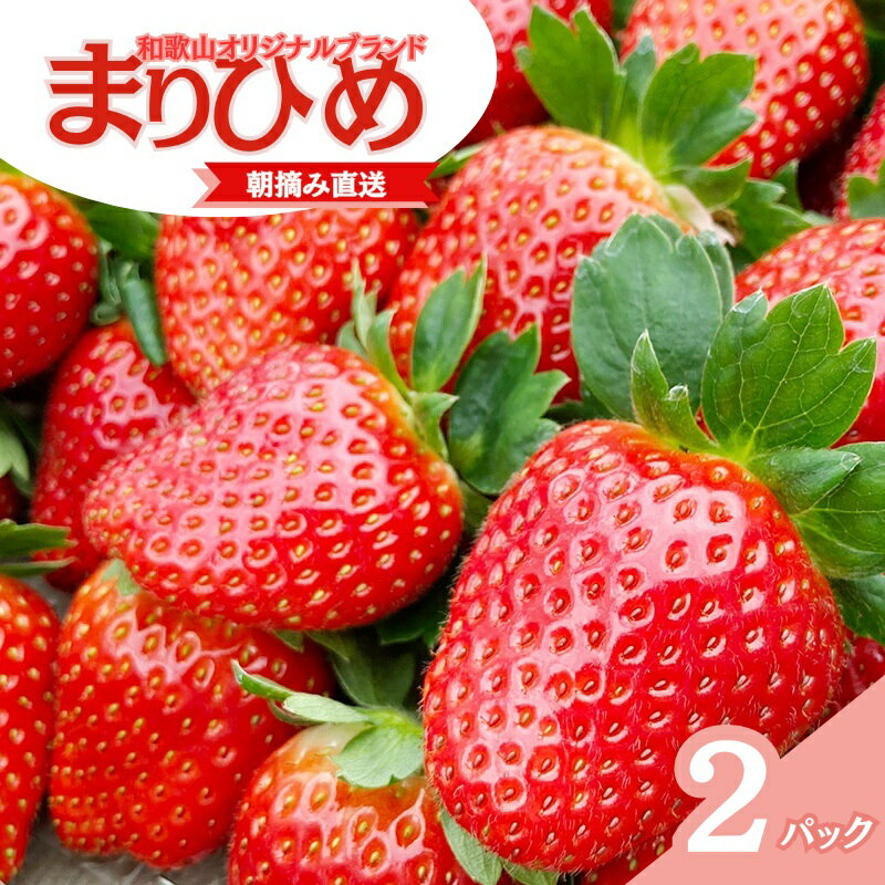 【ふるさと納税】 【先行予約】特大まりひめ いちご 朝摘 6個〜11個入り×2パック 2026年1月中旬~2026年3月末頃に順次発送予定(お届け日指定不可)/ いちご 苺 まりひめ 和歌山 フルーツ 果物 くだもの