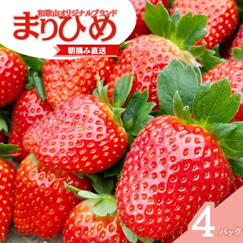 【ふるさと納税】【先行予約】特大まりひめ いちご 朝摘 6個～11個入り×4パック 2025年1月初旬～2025年3月中旬頃に順次発送予定（お届け日指定不可）/ いちご 苺 まりひめ 和歌山 フルーツ 果物 くだもの